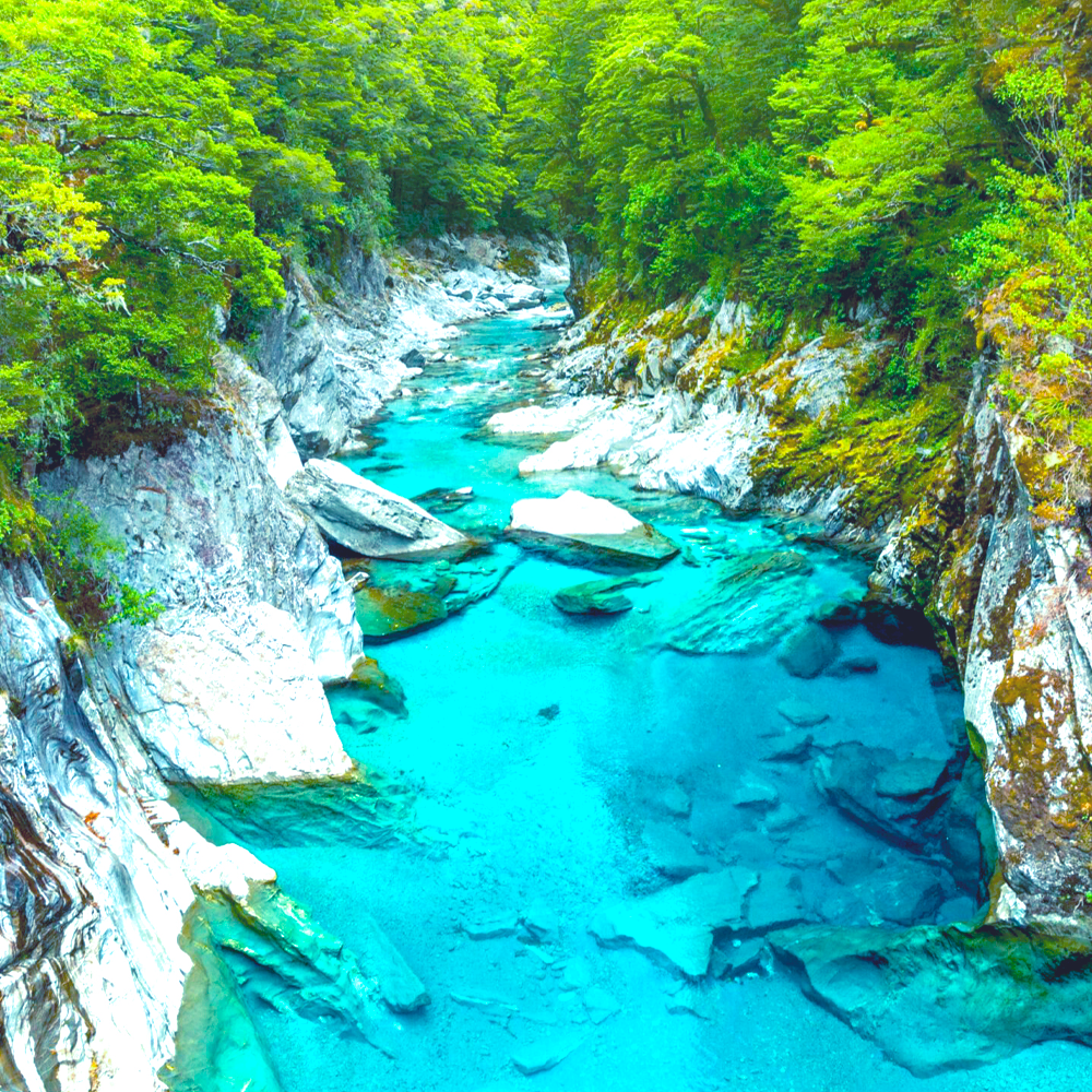 Ein Fluss in einem Wald