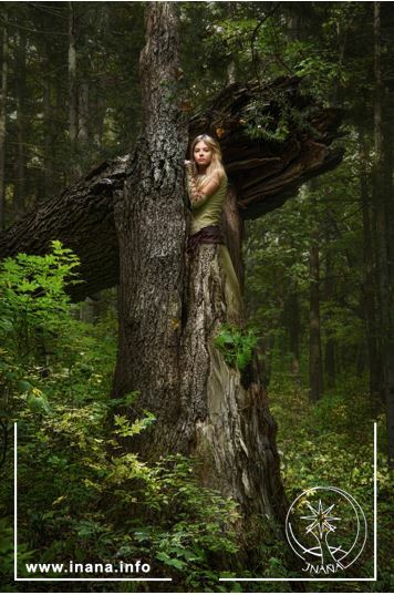 Frau wächst aus einem Baum