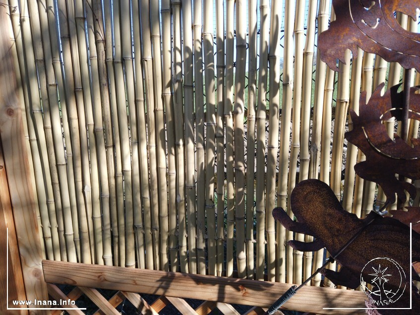 Schatten eines Drachens an einem Bambuszaun
