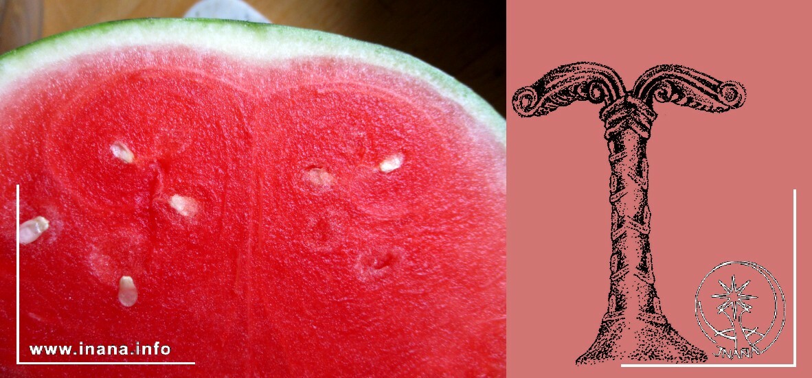 Fruchtfleisch der Wassermelone und Irminsul