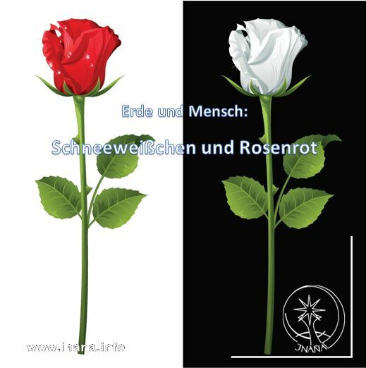 Eine rote Rose auf weißem Grund und eine Weiße Rose auf schwarzem Grund