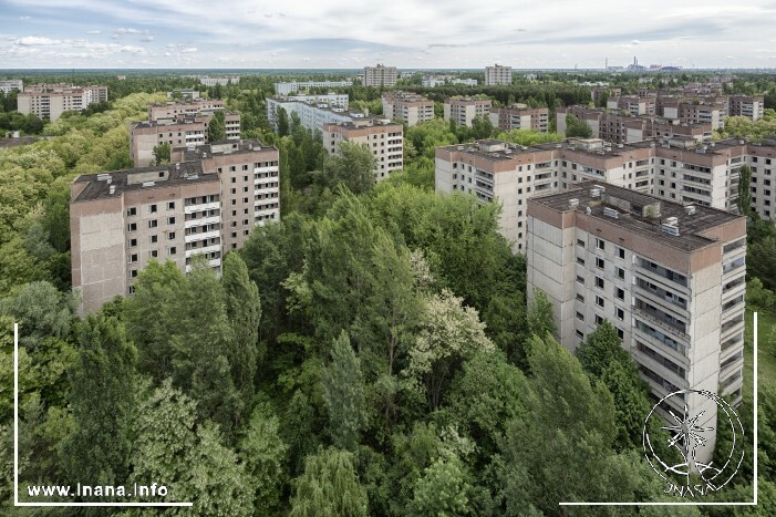 Tschernobyl: Häuser im Wald