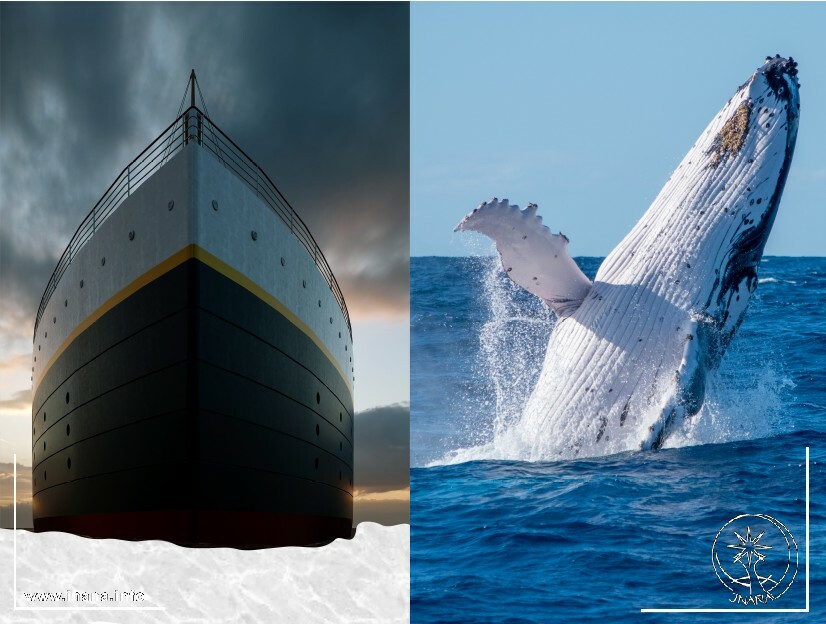 Die Titanic und ein Wahl, der aus dem Wasser springt